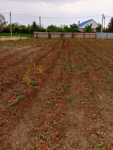 2a7df9f61e27b5aac7131529f1504d07bed10013615ee076e753b9e2ad0166e2