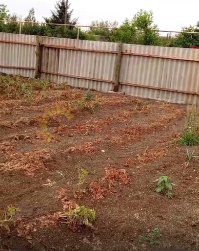 9f637e007abe007f29401c754ce406af829beb90a4b3a3134f55eda13e415caa