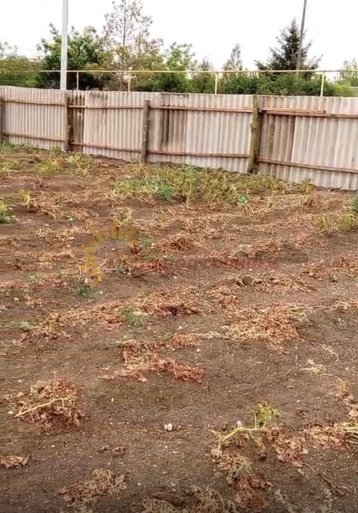 a1497a35ce509f4014015562a486fd613954430554eff19ee358b2235ddffff9