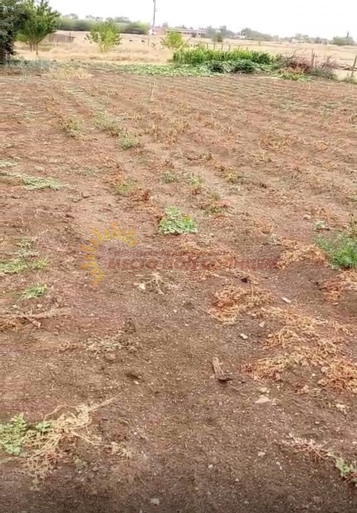 a7e540b69d05ebe4002b2ab30ee34e10766b02c0cc8b2adf06ef98b9d5309a63