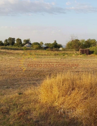 f27946ec7e8f8679516c6bbf54b2e16db55090d5748e5ed719aac0303d8c74b6