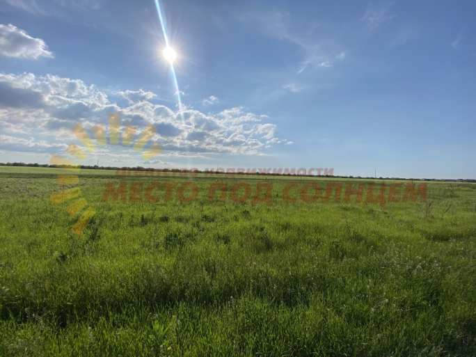 d55909f5e6dc31ad3d927911fa2e33842e3bbddc2786f8b7d76d28e99aa21442