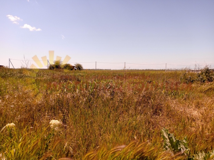 4ce8e0742ce39c6774fb4439b39f784849cae8c755f28d85e0bdb6815a6f98ca